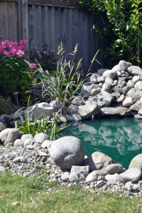 espace aquatique - exterieur